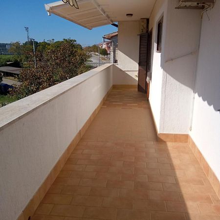 Apartment Degobbis ロヴィニ エクステリア 写真